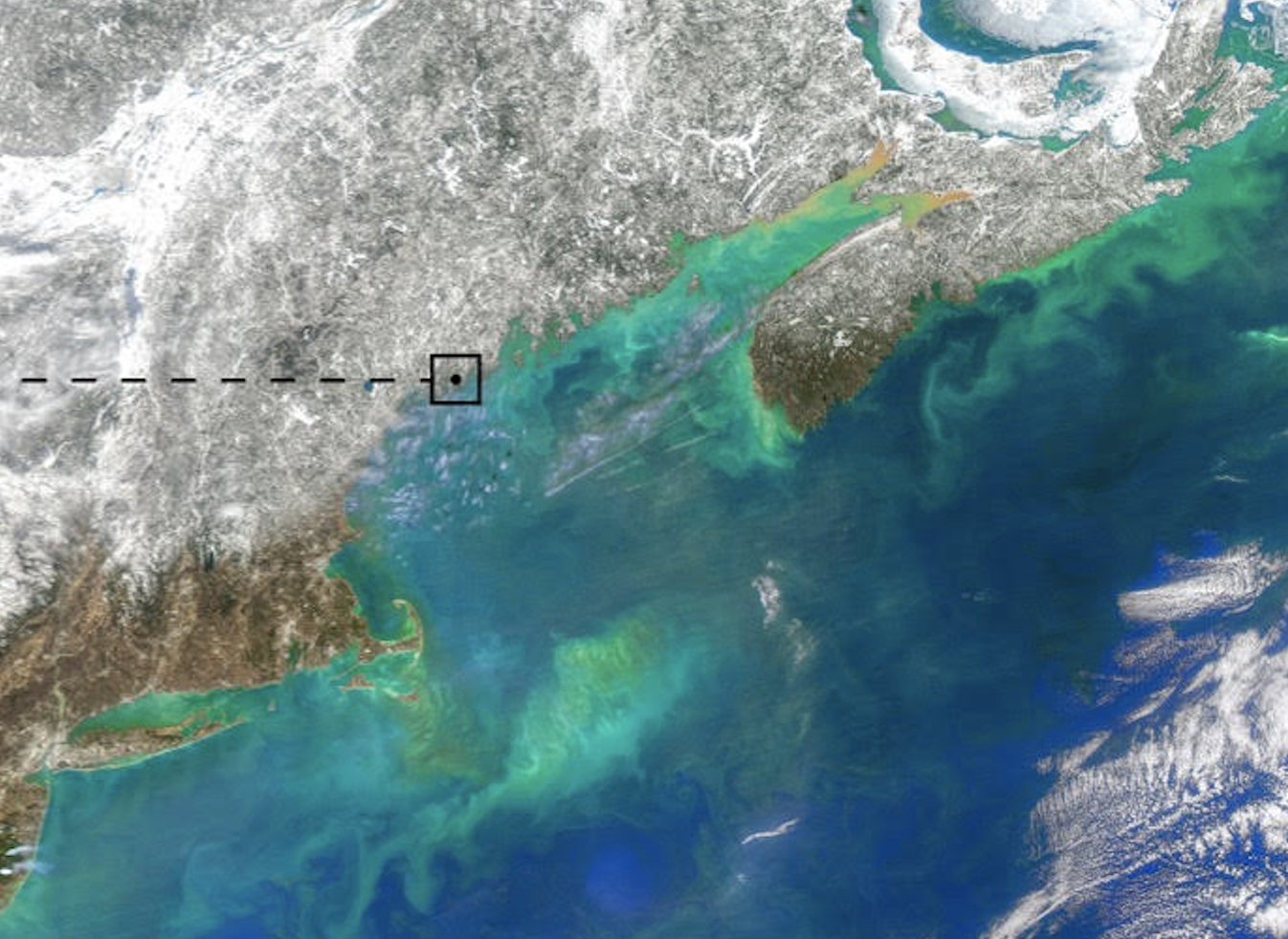 optical oceanography image from Meg Estapa